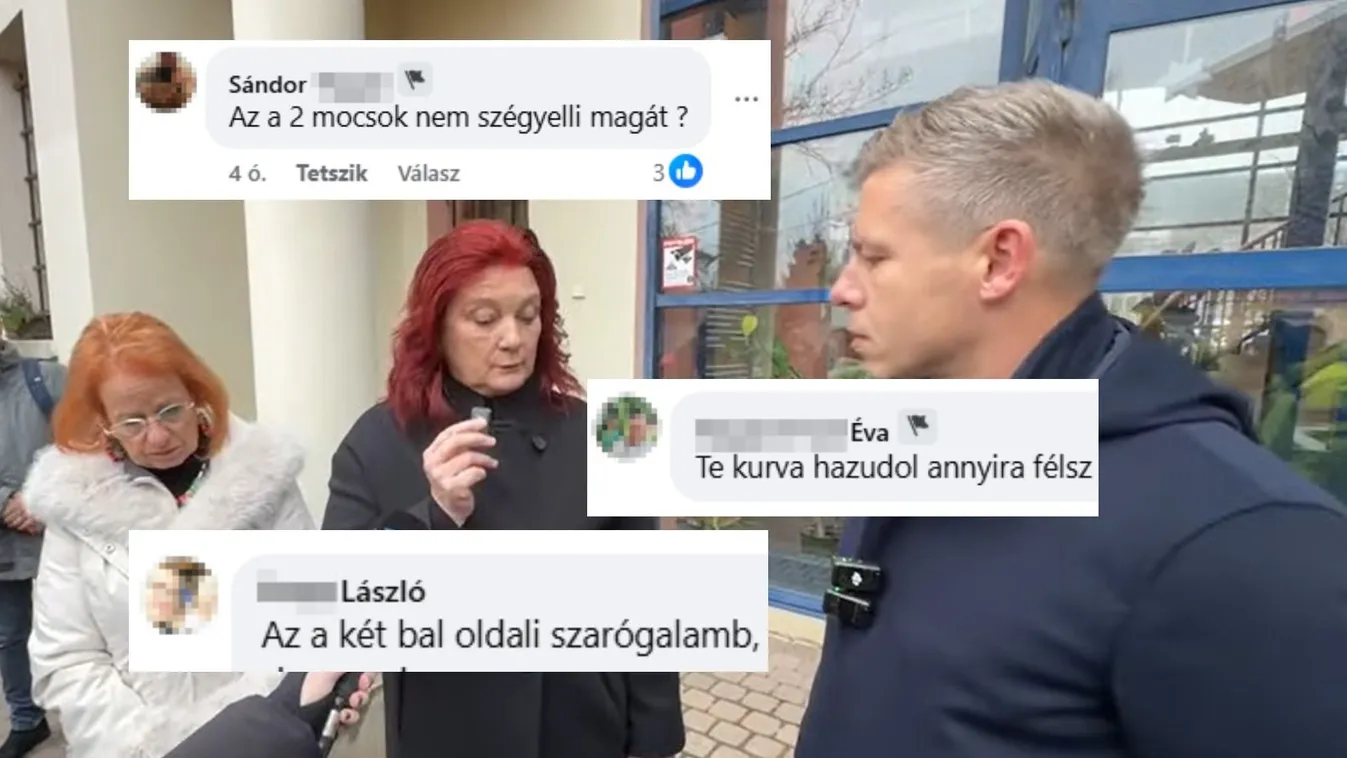 Hülye p*csa”, „te mocskos ku*va