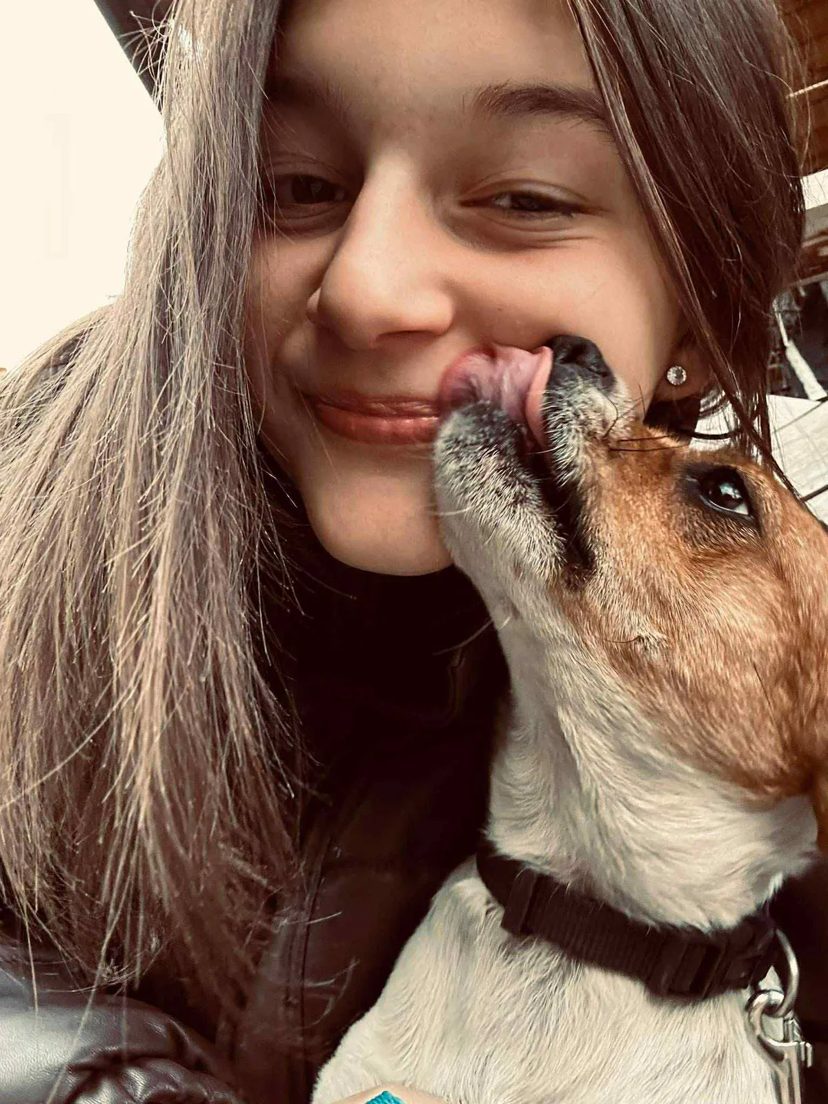 Ideiglenes befogadóként jelenleg is több kutyacsalád lakik Ilkáéknál