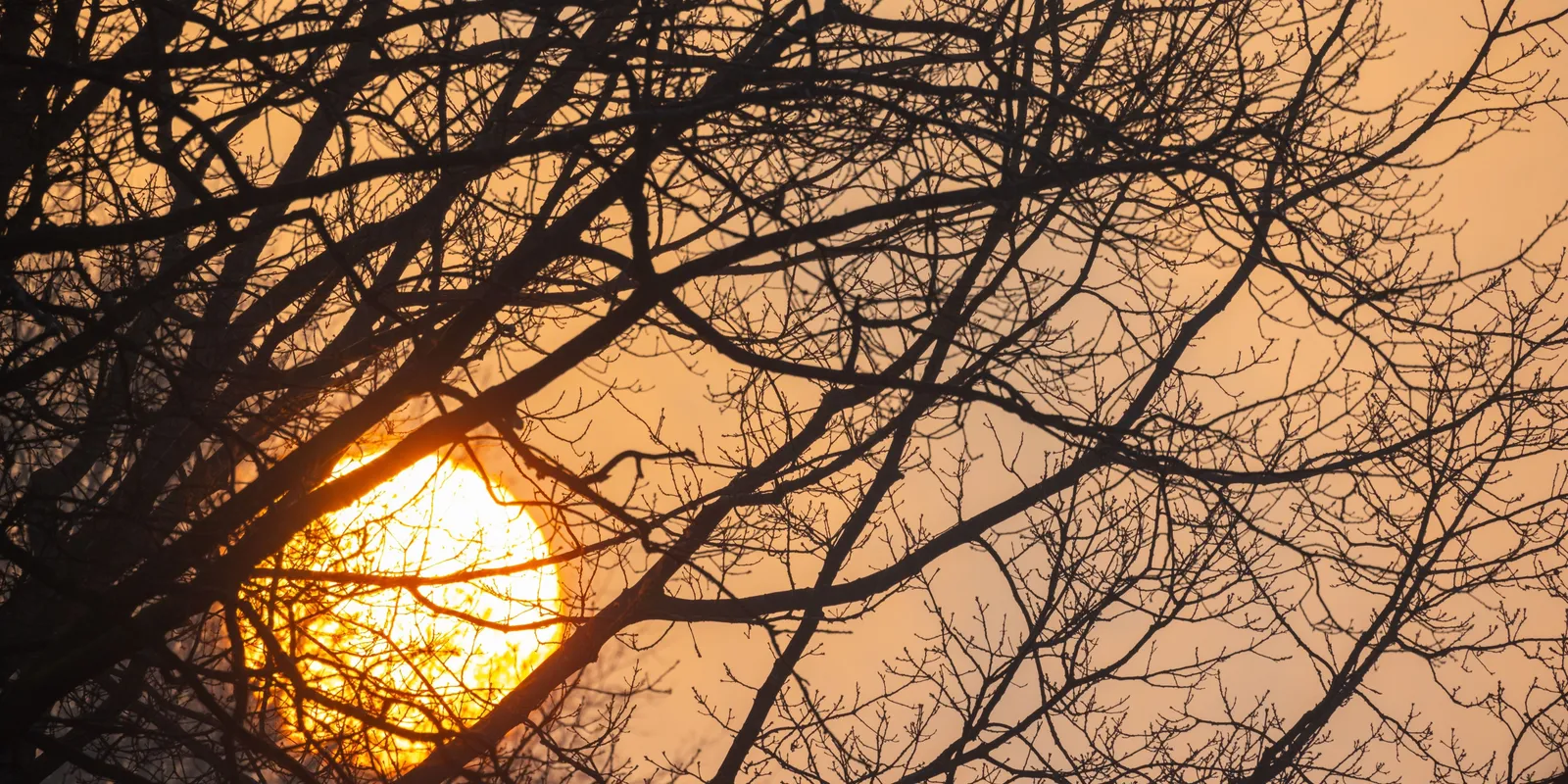 Ma van Disznóölő Tamás napja, de mit is jelent ez?