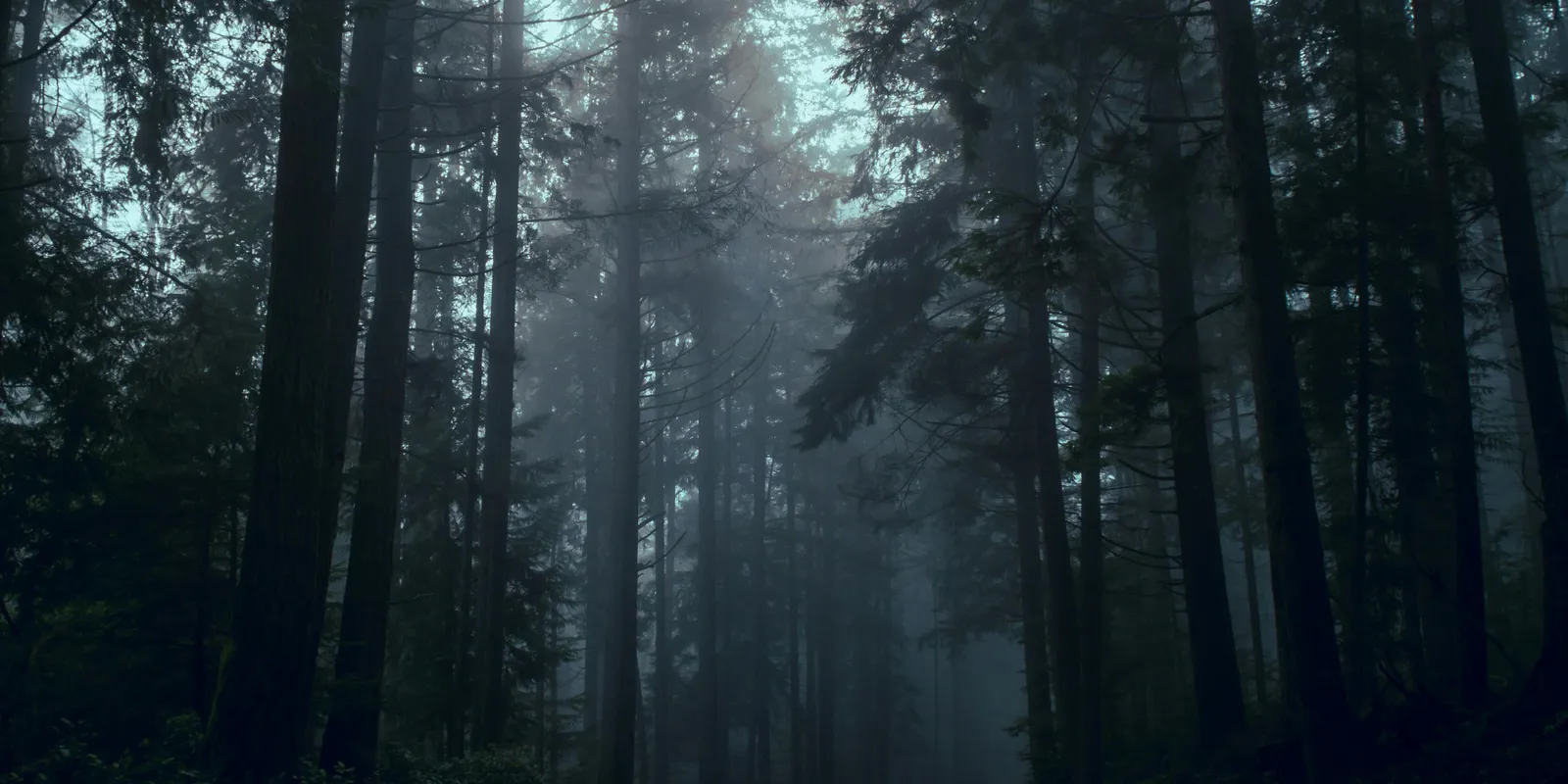 Erdész mentette meg a diák életét Jánoshalmán