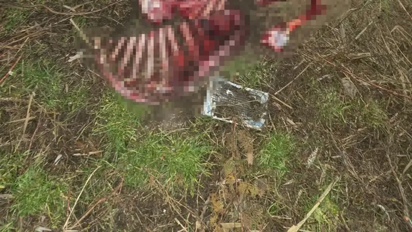 Hátborzongató: véres csontokat találtak Váchartyán vasúti részénél