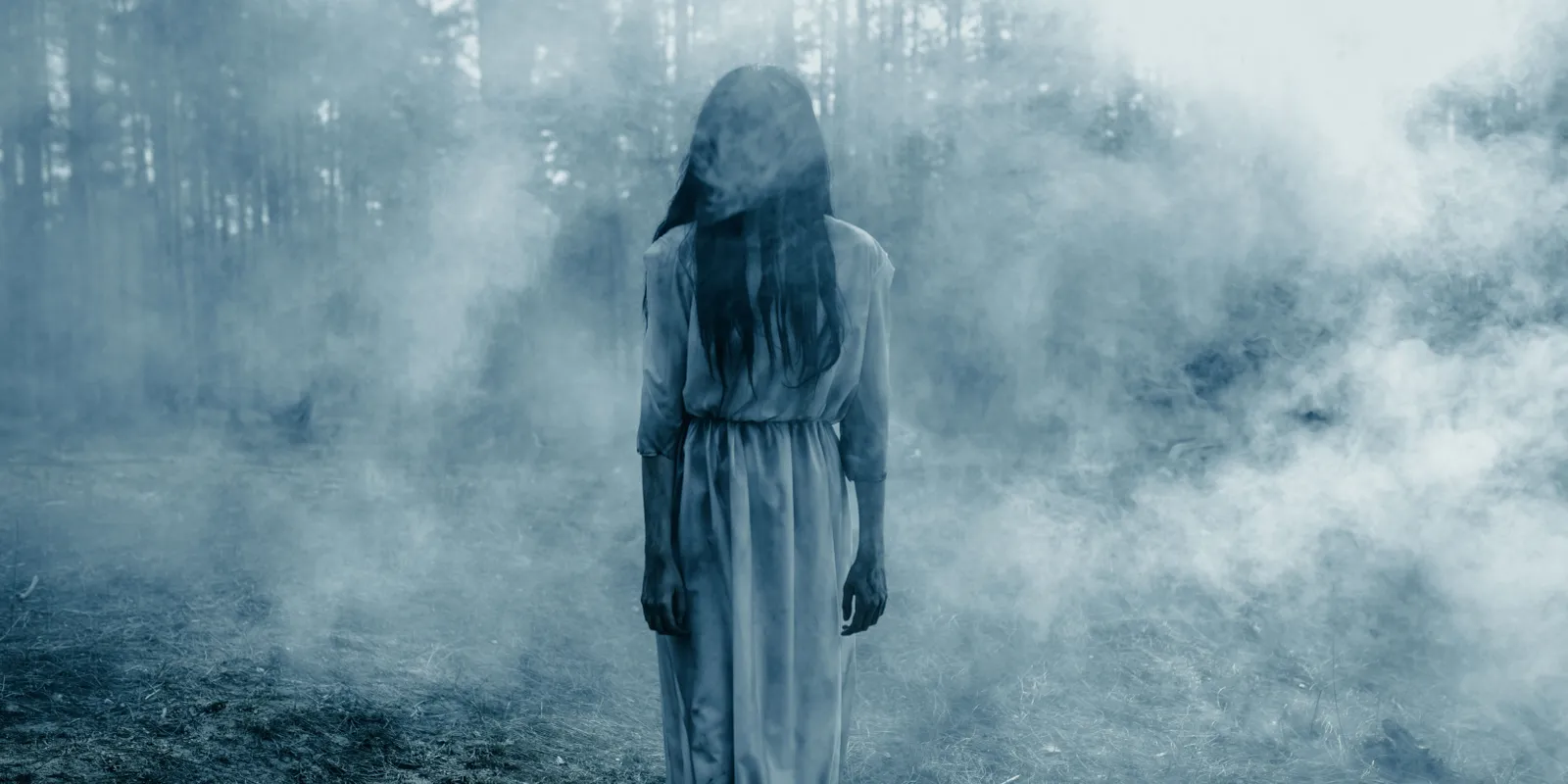 A sofőr is meglepődött: szellemet érzékelt az autó szenzora