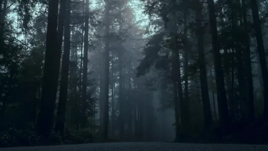 Hős erdész mentette meg az öngyilkosságra készülő tinit Jánoshalmán