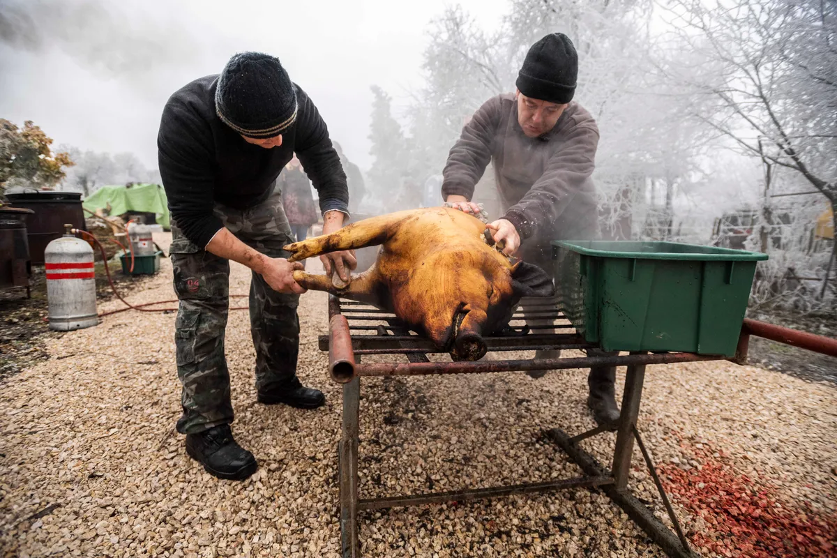Disznóölő Tamás napja