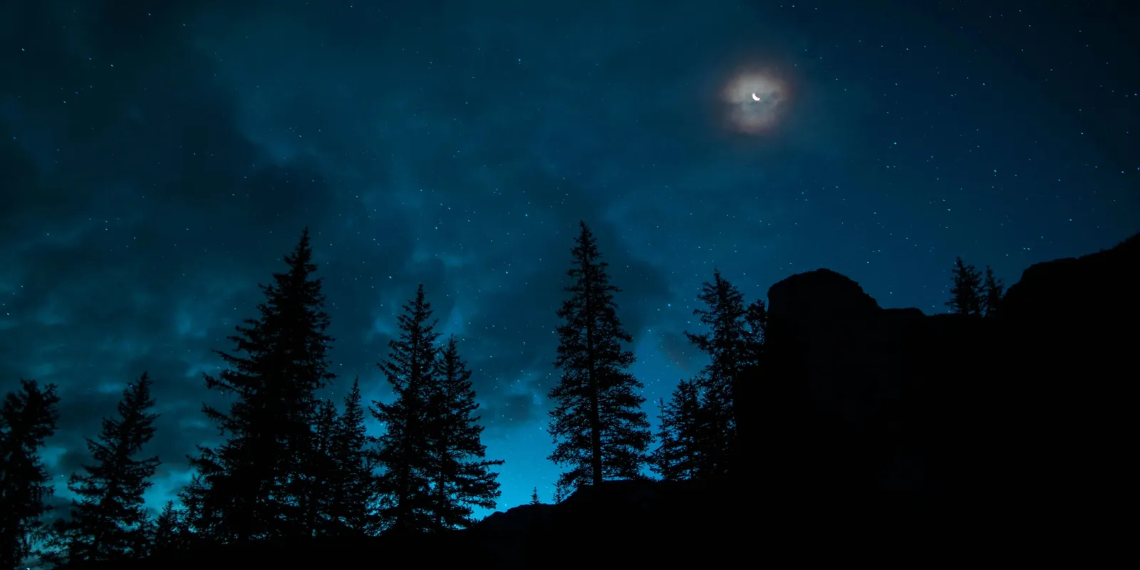 Kétéves kislányt találtak mezítláb az erdőben