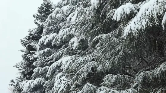 Hol lesz fehér a karácsony? Ide mehetsz, ha havat szeretnél látni