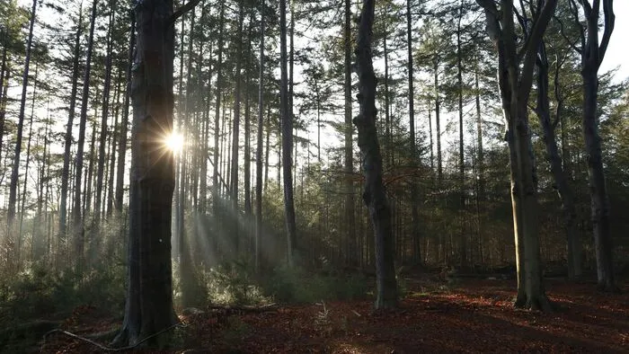 Nem mindenki örülhet a tavaszias időjárásnak