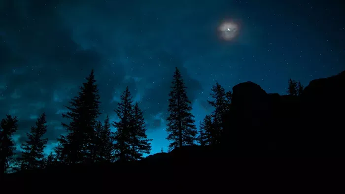 Kétéves kislányt találtak mezítláb az erdőben