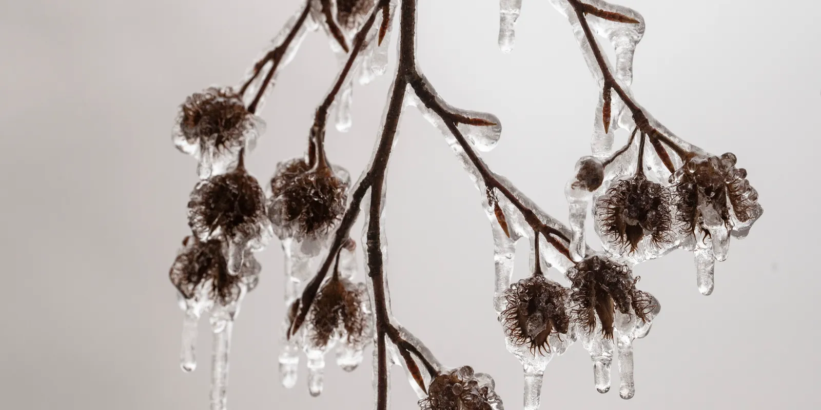 Lecsap a dermesztő hideg, jön a mínusz 10 fok