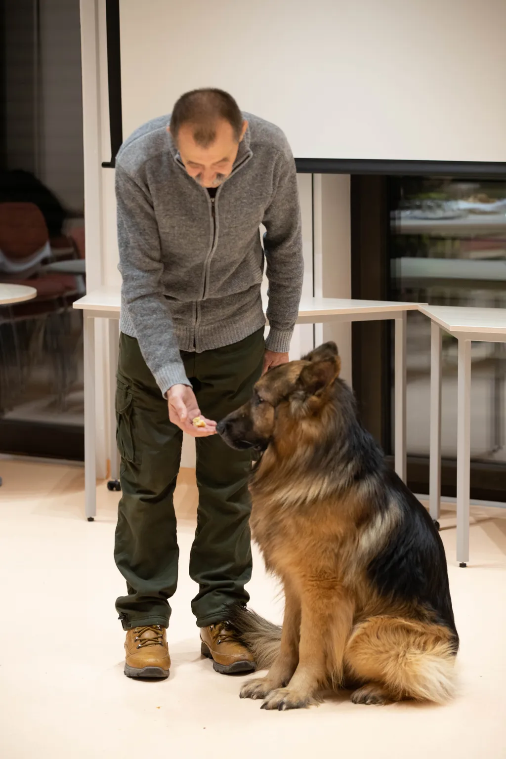 20230127 Tatabánya
Tatabányára hozták Mancsot - az ország legismertebb mentőkutyájáról videót is vetítettek a József Attila Megyei és Városi Könyvtárban és bemutatták Lehóczki László: Volt egyszer egy Mancs című könyvének első kötetét.
Fotó: Novotni Áko