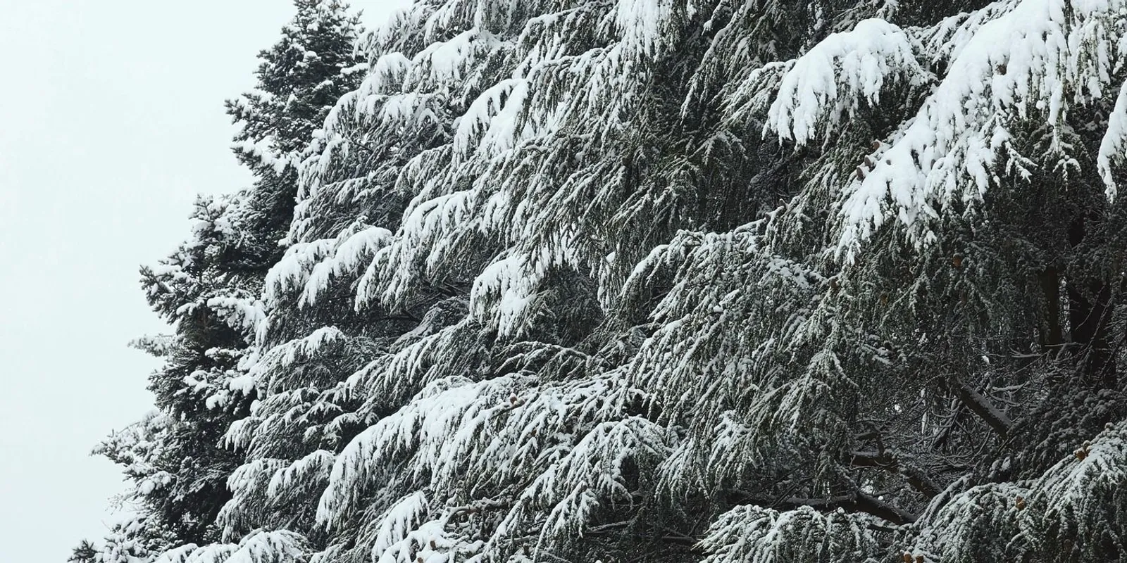 Ide mehetsz, ha havat szeretnél látni