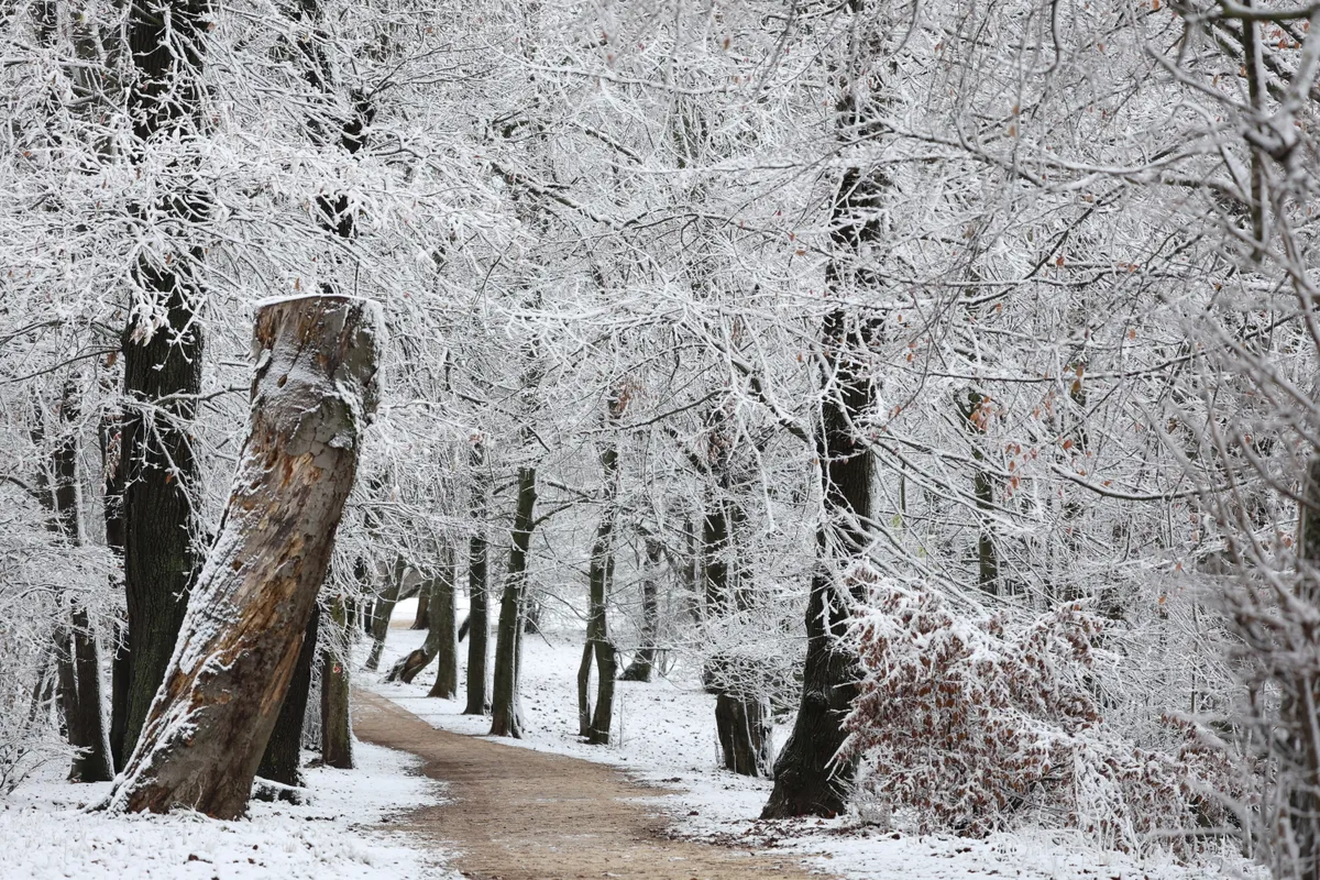 Idén sokáig megmarad a hó, a téli rekordok egyelőre elkerülik az országot