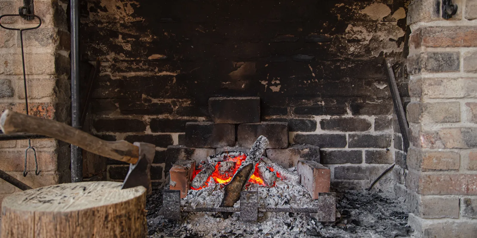 Fahamu – ezért érdemes összegyűjteni télen