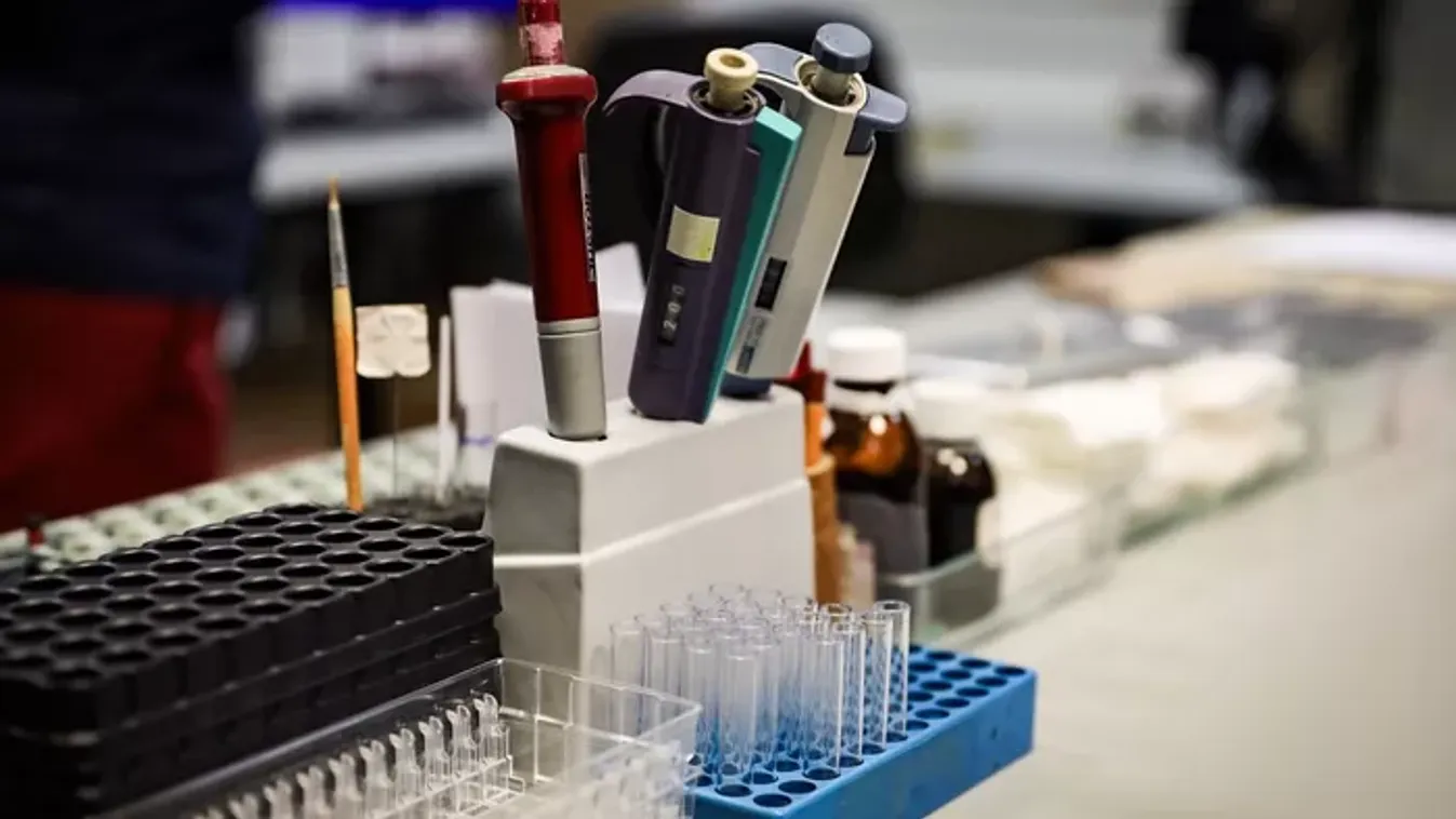 "Egy apró fiolányi vér mentette meg az életemet"