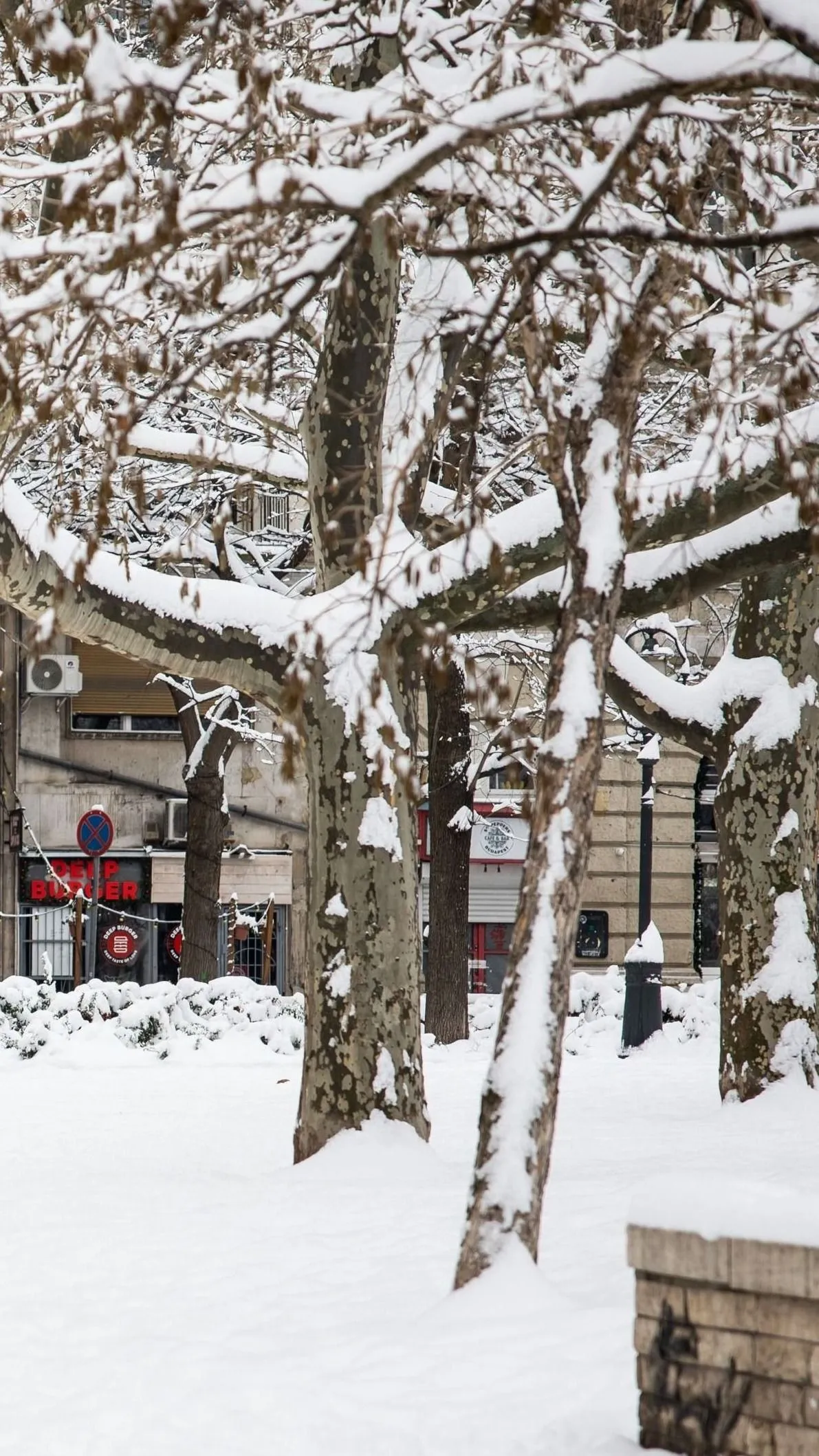 Hóból fagyi? Bizony, létezik és isteni desszert!