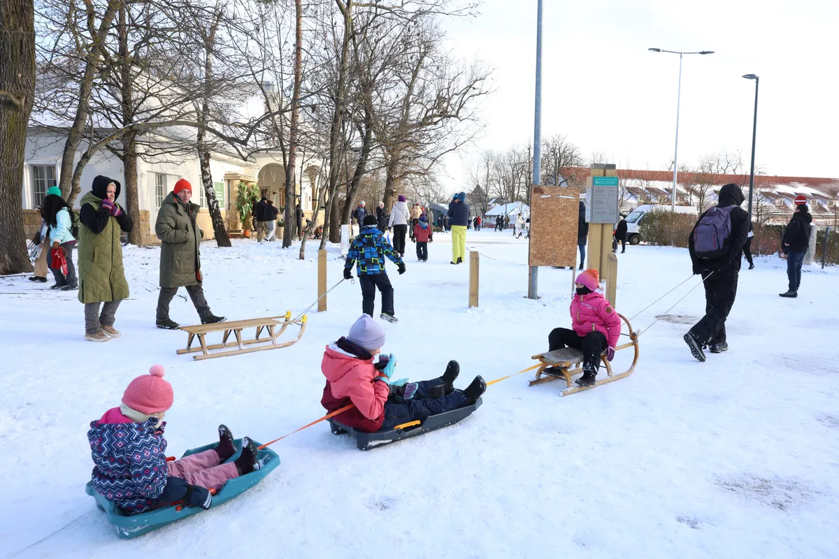 20260101_Normafa_038_TUM - szánkóznak a gyerekek