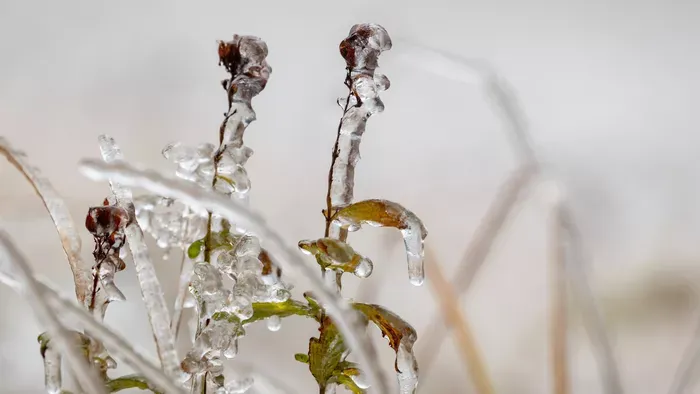 Bekeményített a tél: mínusz 25 fok volt Szécsényben