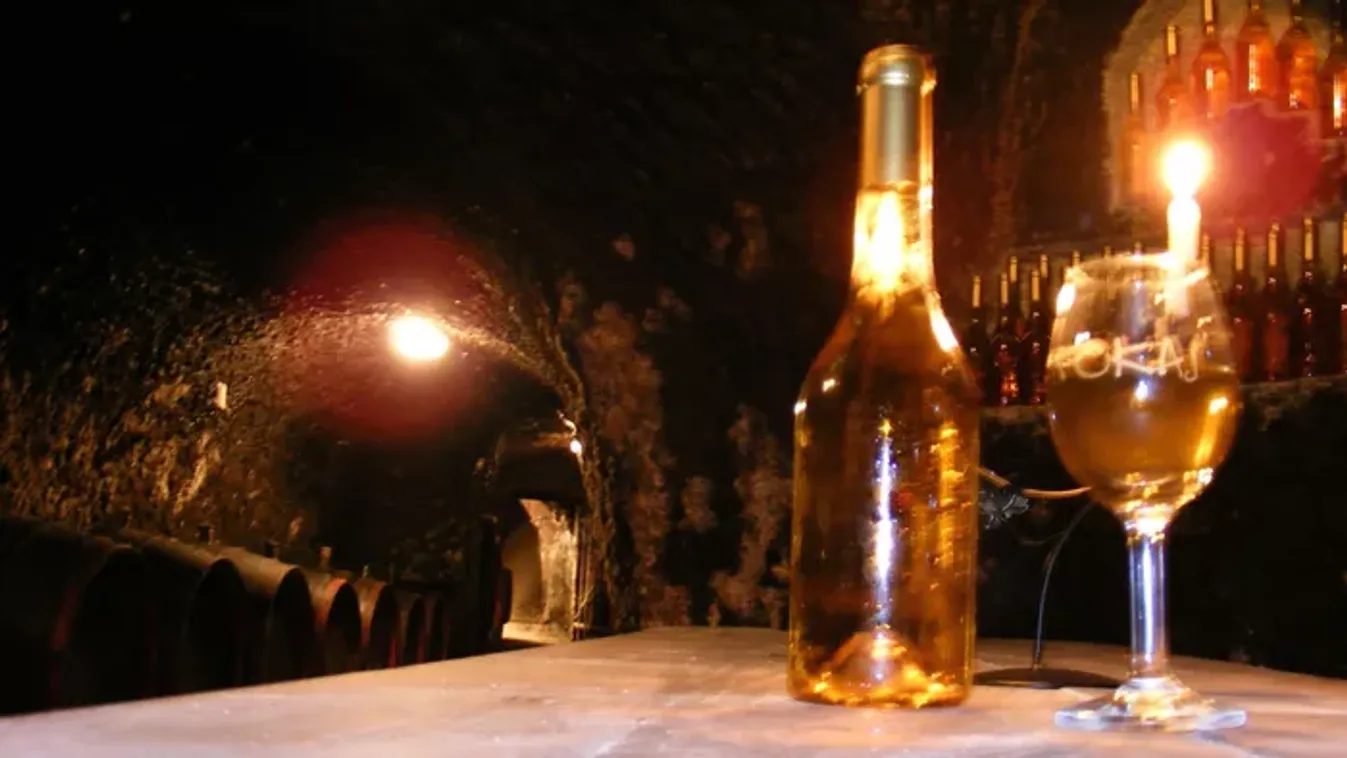 Jósol a Vince-nap: ilyen lesz az idei termés