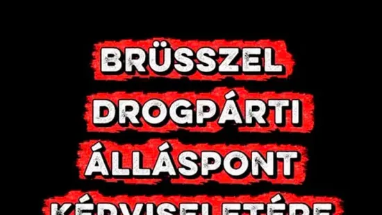 Brüsszelben beszívtak és berágtak❓