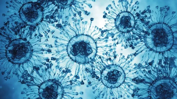 Halálos vírus: mit tud a Nipah, és kell-e tartanunk tőle?