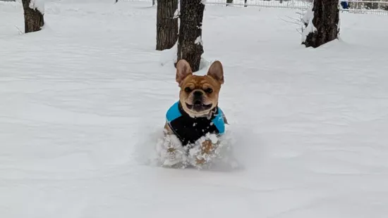 Rekordmínuszok és szűnni nem akaró havazás! Az időjárás nem tréfál