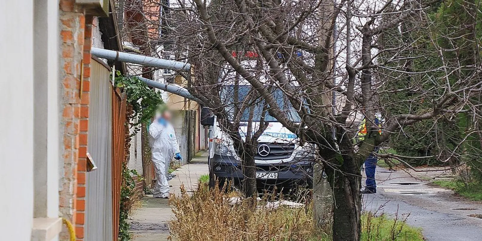 Szegvári gyilkosság: sittre kívánják a drogos gyilkost