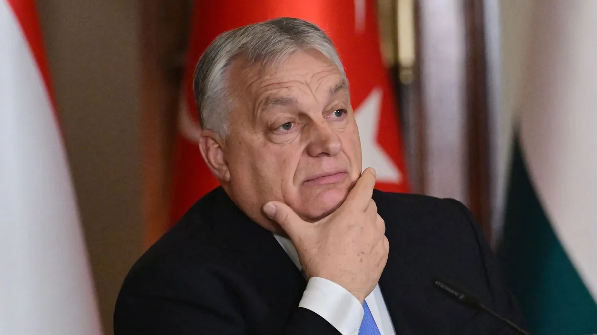 Turkish President Erdogan meets with Hungarian PM Orban in Istanbul