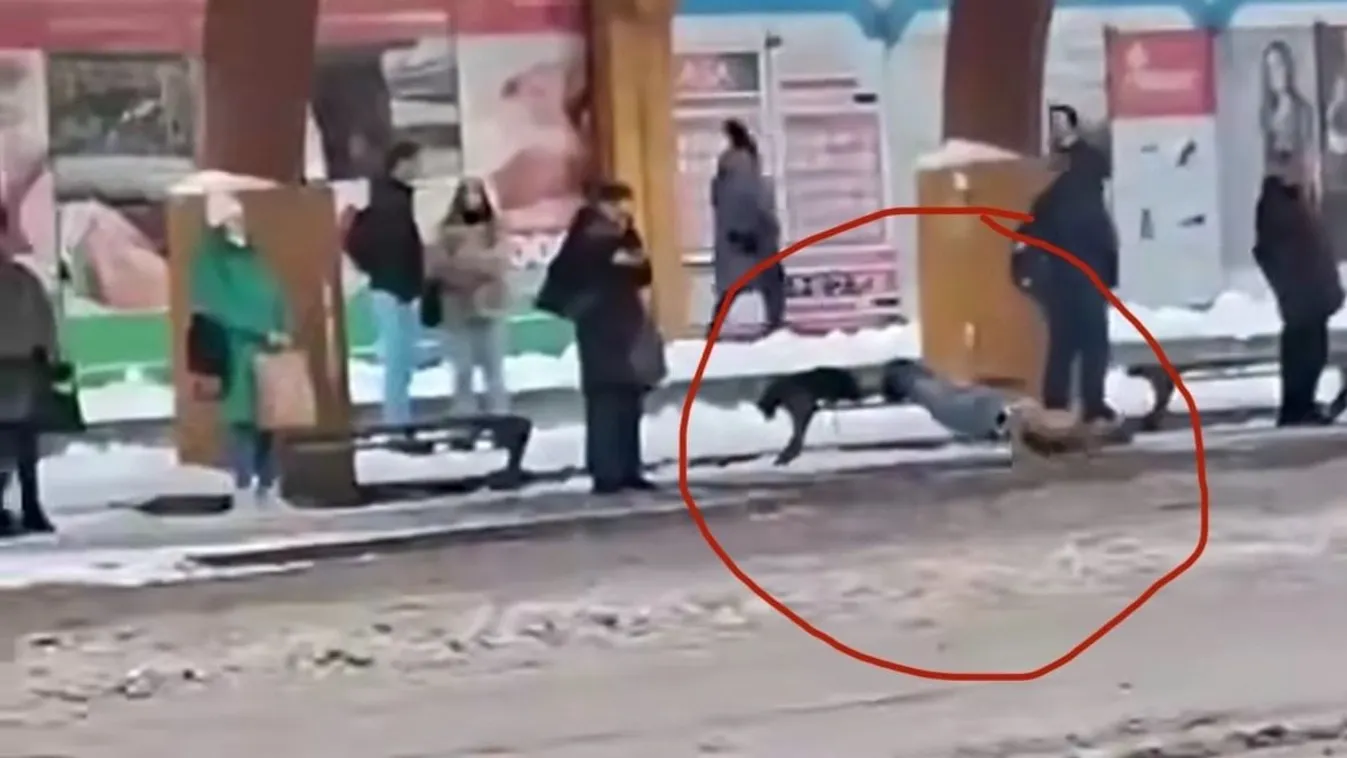 félmeztelen férfi nyomta a fekvőtámaszokat