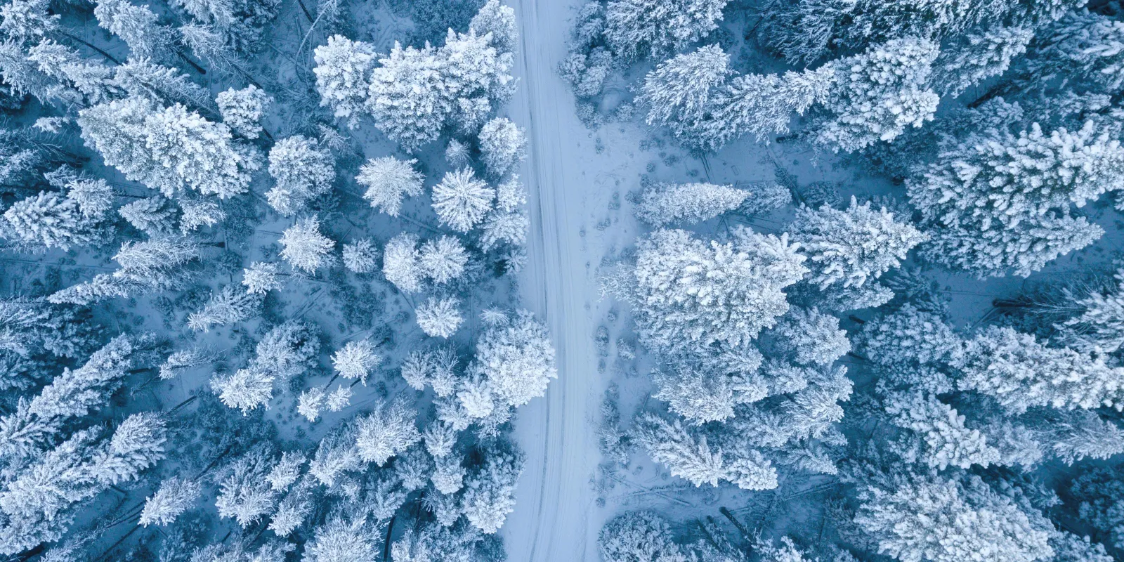 Ezért lesz január az év leghidegebb hónapja