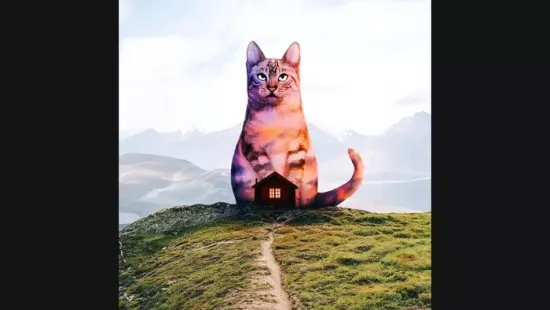 Személyiségteszt: Amit először meglátsz ezen a képen, mindent elárul rólad!