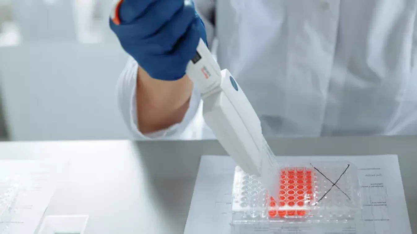 Egyetlen ember van a világon, aki megmentheti a beteg édesanyát