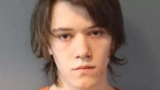 A rendőrség is megdöbbent: Nem tetszett neki a videójáték, hidegvérrel ölte meg testvérét