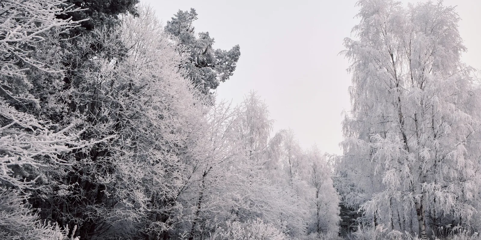 Ezt nem tesszük zsebre: Extrém hideget kapunk az arcunkba
