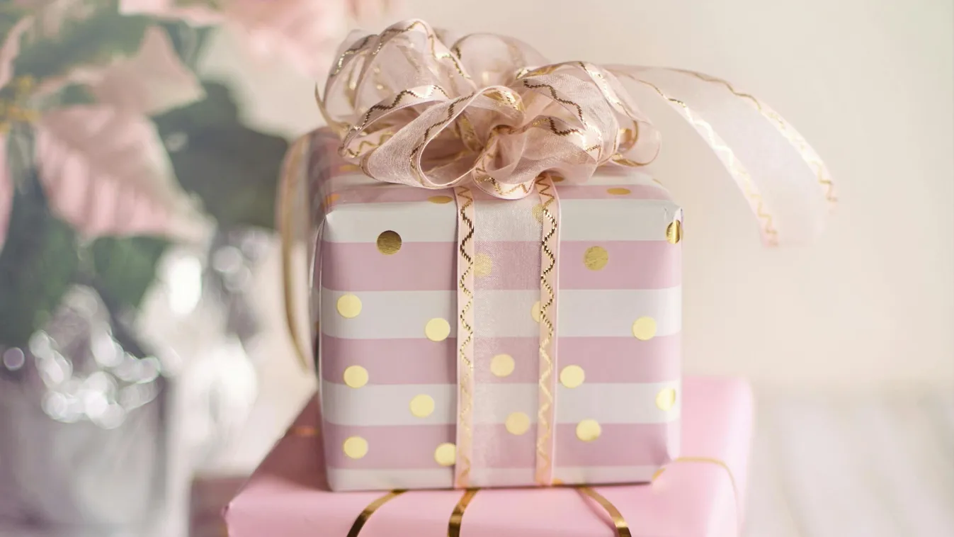 60 lottószelvényt kapott ajándékba, milliomos lett