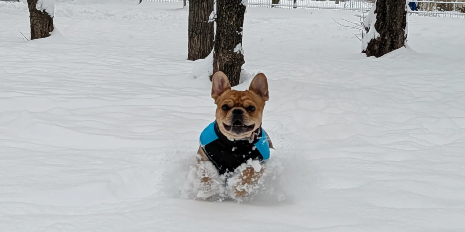 Berobbannak a rekordmínuszok, ilyen lesz az időjárás