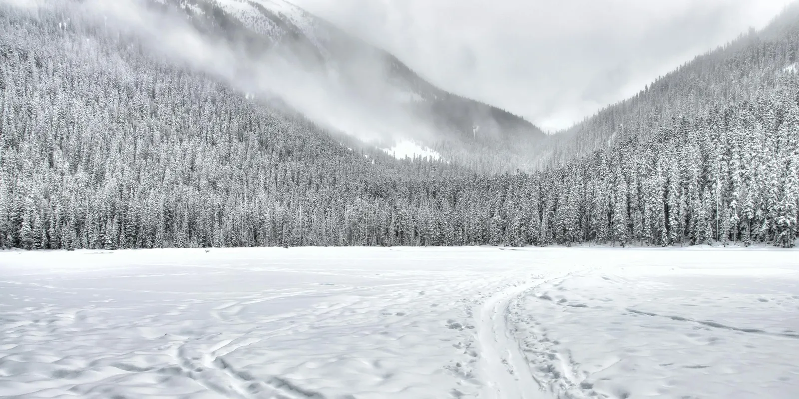 Fontos bejelentést tett Orbán Viktor a tűzifáról