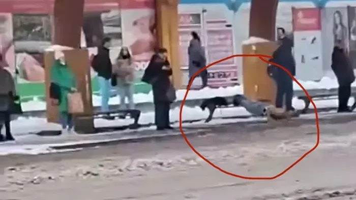 Félmeztelen férfi nyomta a fekvőtámaszokat a hóban Szolnokon