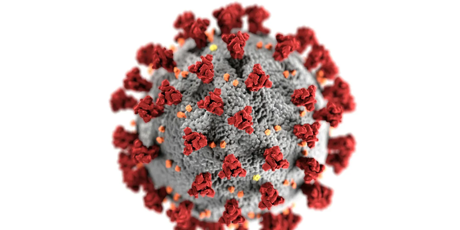 Villámgyorsan terjed egy halálos vírus