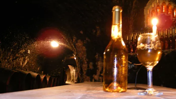 Jósol a Vince-nap: ilyen lesz az idei termés