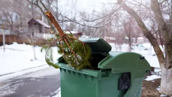 Ne dobd ki a fenyőfát ünnepek után: mutatjuk, mire jó
