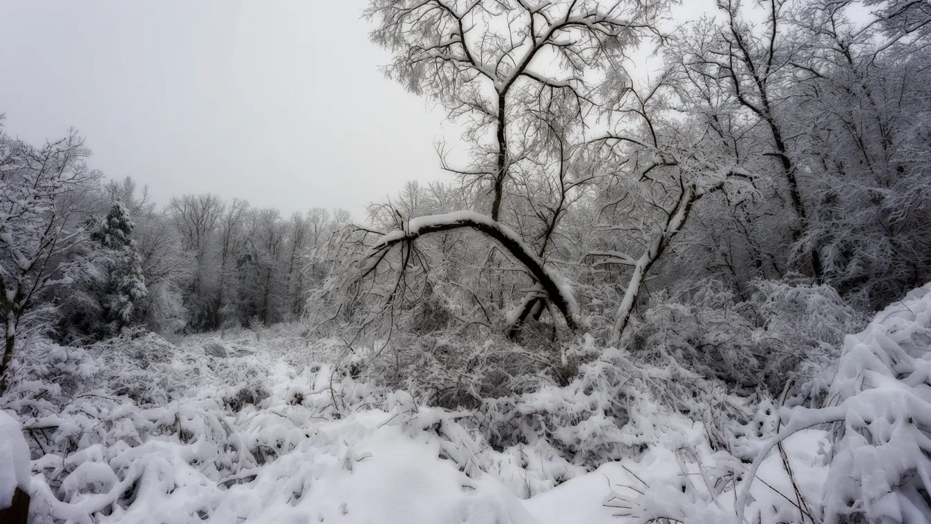 Orbán Viktor elmondta, miért jött jól ez a nagy havazás