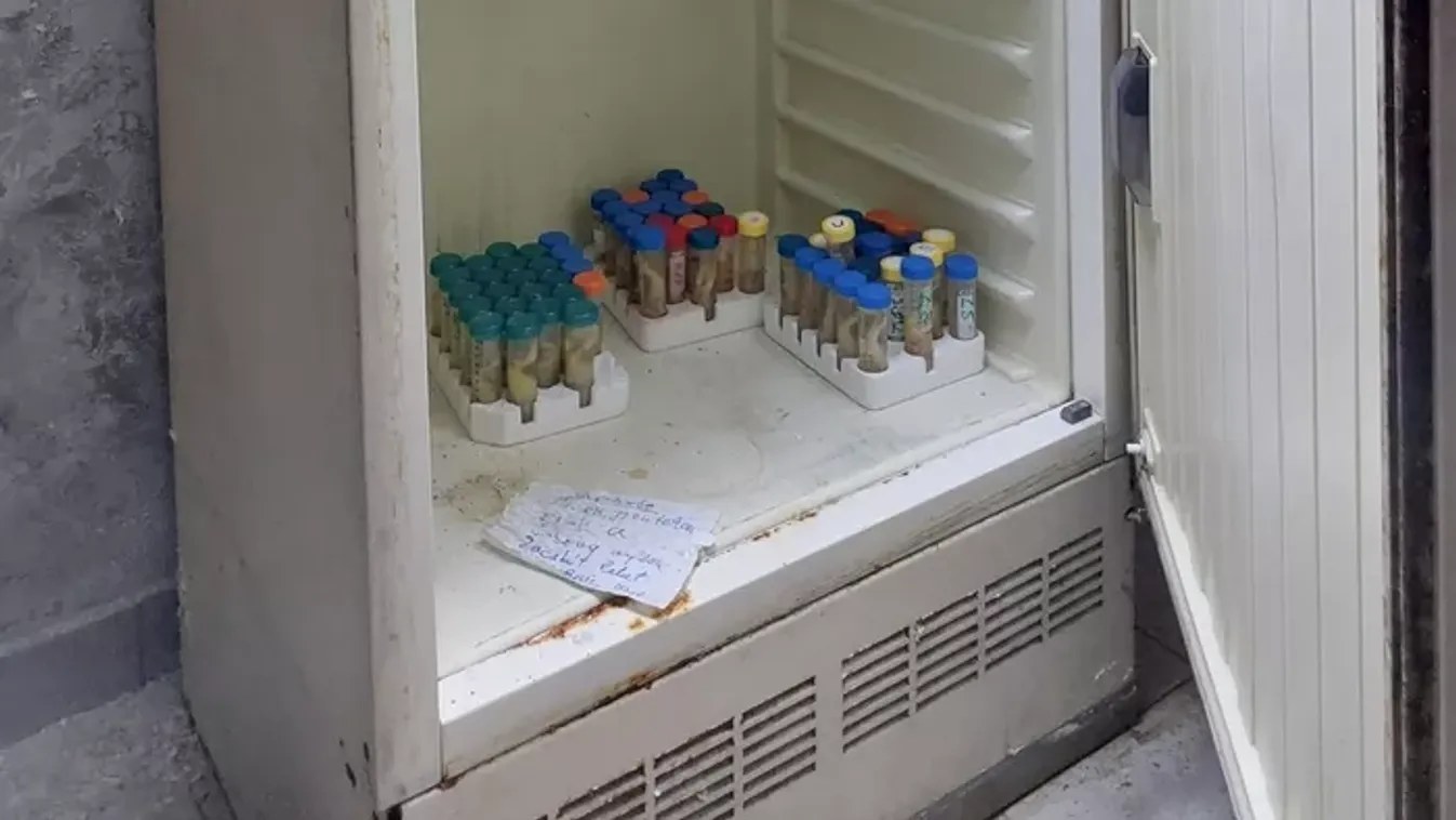 Állatkísérleteket végző, titkos, elhagyatott kutatólabort találtak