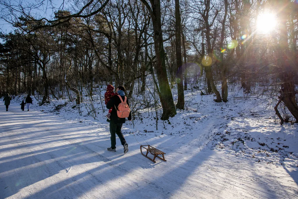 20260102_Hármashatár-hegy_Havas illusztrációk_MG_MW