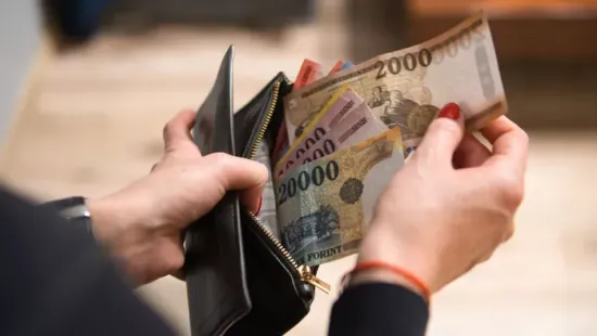 Nézőpont Intézet: A Tisza károsultja lenne minden magyar