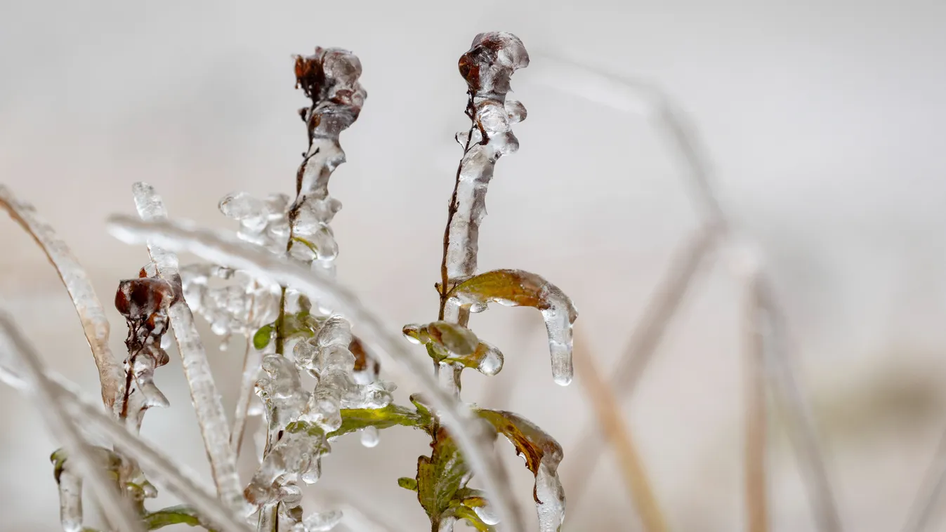 az idei téli szezon leghidegebb éjszakáján vagyunk túl