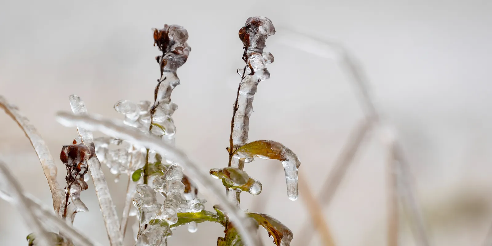 Bekeményített a tél: mínusz 25 fok volt Szécsényben