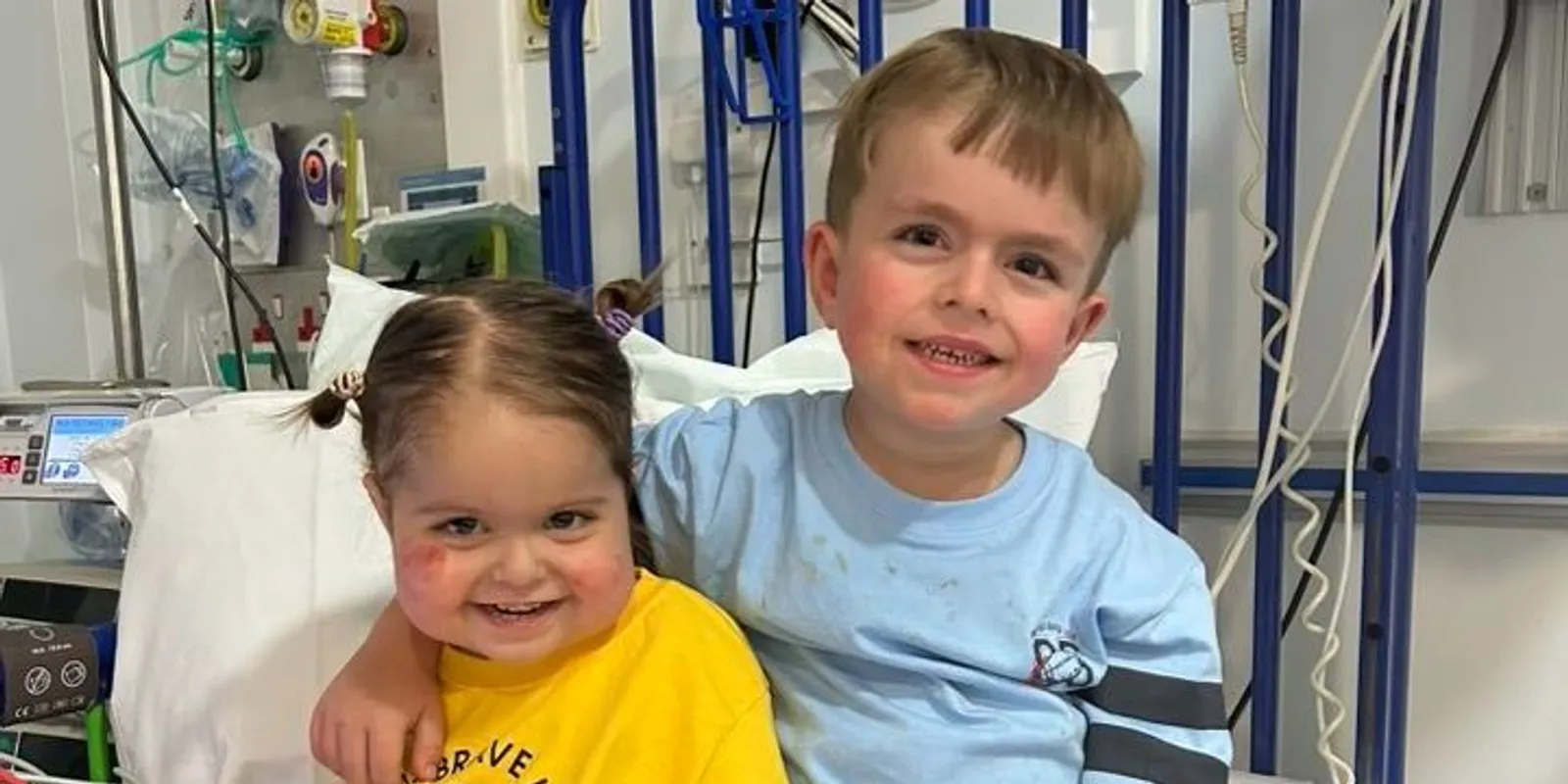 Háromévesen második szervátültetésére készül Etta