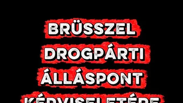 Brüsszelben beszívtak és berágtak❓