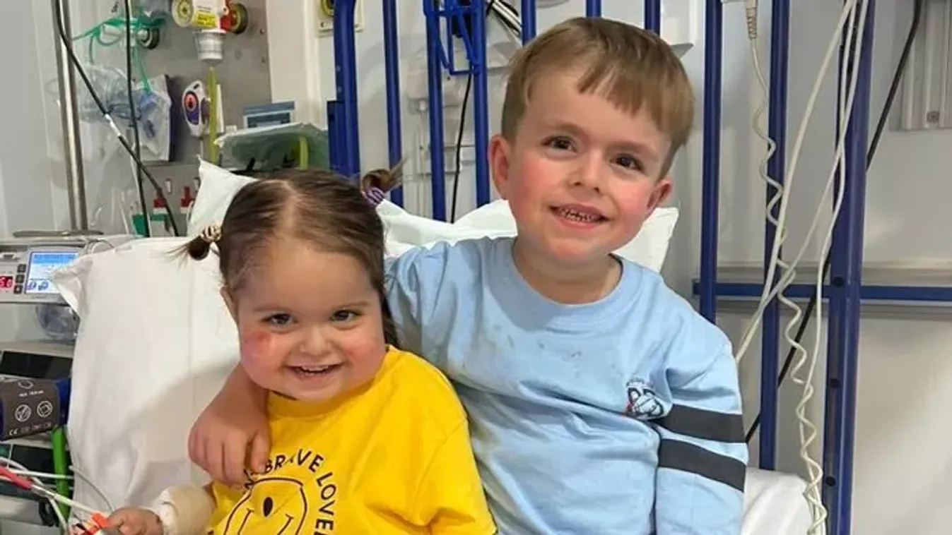 Háromévesen második szervátültetésére készül Etta