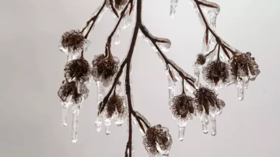 Riasztás adtak ki 3 vármegyére, itt fog lecsapni az ónos eső